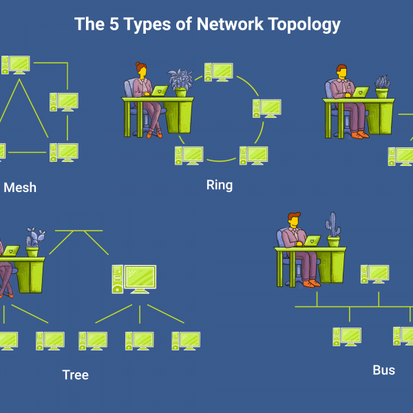 انواع مدل های توپولوژی شبکه